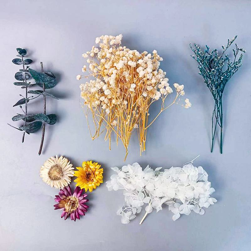 1 paket Çok Çeşitli Kurutulmuş - Embellish Craft incelemesi ve fiyatı